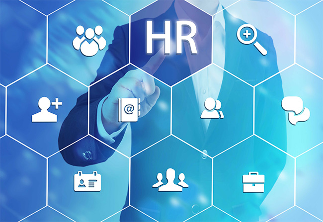 人力資源結(jié)構(gòu)